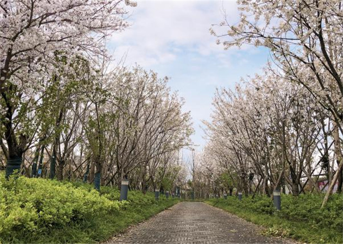 圖片關(guān)鍵詞 圖片關(guān)鍵詞