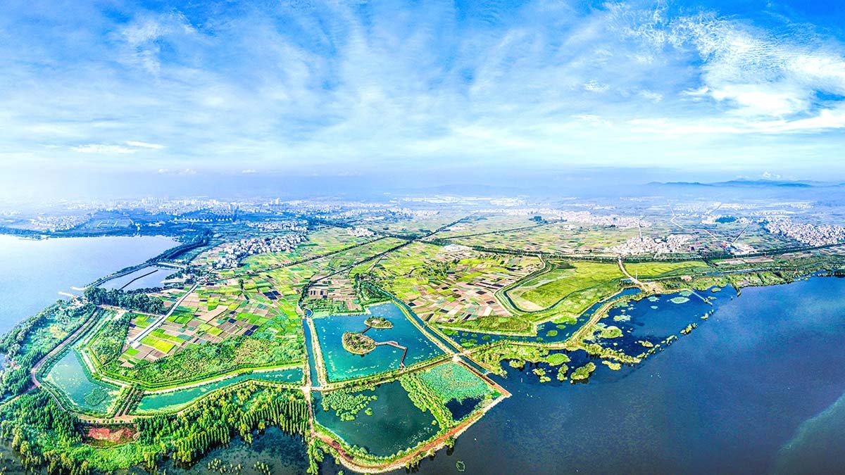 星云湖南岸濕地、湖濱帶提質(zhì)改造工程