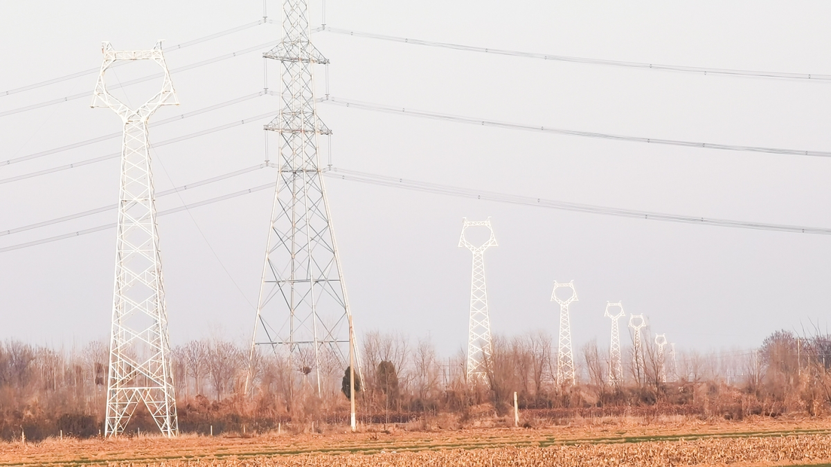 威縣澤恩蔬菜種植有限公司雨養(yǎng)型節(jié)水高效蔬菜大棚88MW農(nóng)光互補(bǔ)發(fā)電項(xiàng)目外送線路及對側(cè)間隔EPC