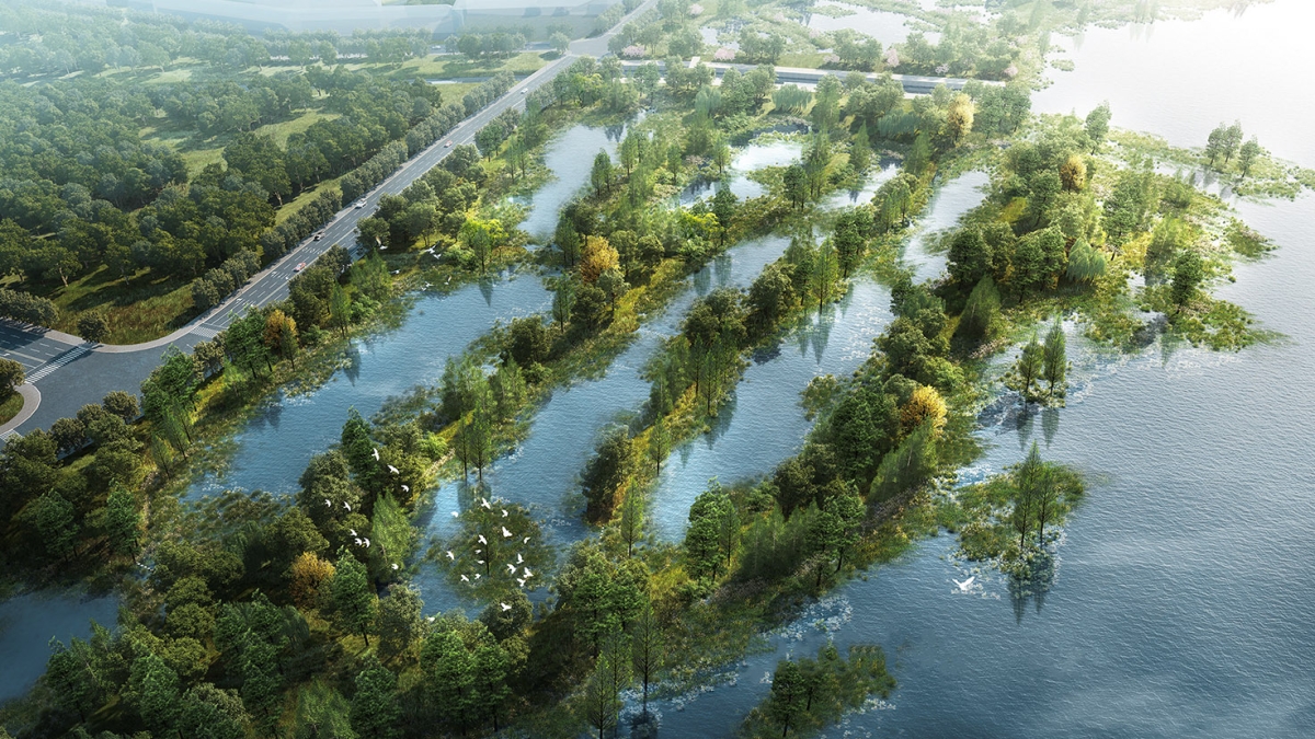 云南草海片區(qū)湖濱生態(tài)濕地修復建設工程