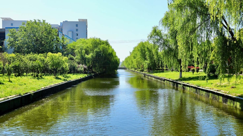 東山國際企業(yè)研發(fā)園水體環(huán)境整治工程