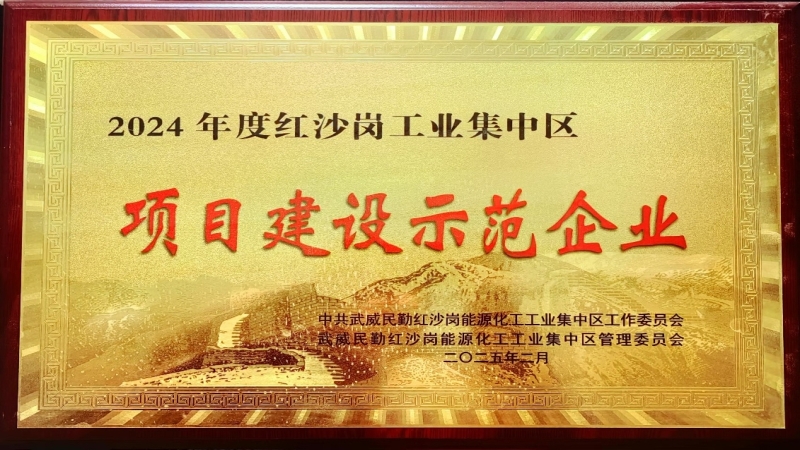 高效履約樹(shù)標(biāo)桿！中機(jī)國(guó)際被評(píng)為民勤紅沙崗工業(yè)區(qū) “2024年度項(xiàng)目建設(shè)示范企業(yè)”