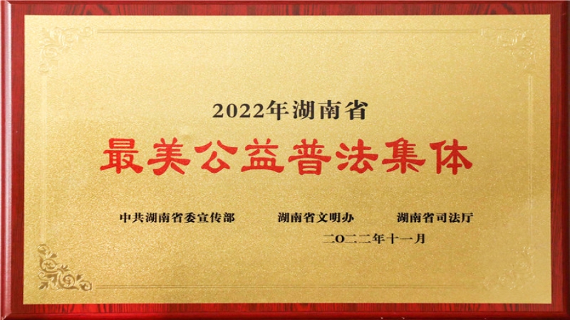 中機(jī)國(guó)際獲評(píng)2022年“湖南省最美公益普法集體”