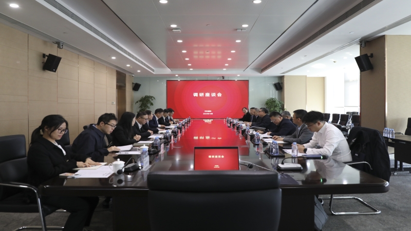 國機集團外部董事一行調(diào)研中機國際