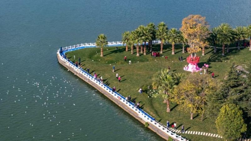 引爆全媒體熱潮！新年慶福保，中機國際助力福保半島鄉(xiāng)村振興建設(shè)