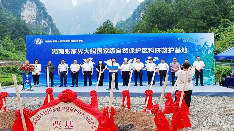 仲夏當(dāng)“燃”！中機(jī)國際兩代建項(xiàng)目開工建設(shè)