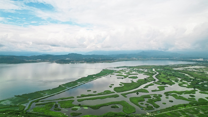 異龍湖生態(tài)修復(fù)典范：中機(jī)國際打造高原湖泊＂綠色屏障＂獲國資委肯定