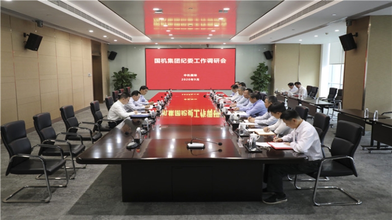 國機(jī)集團(tuán)黨委常委、紀(jì)委書記雷光華一行蒞臨中機(jī)國際開展調(diào)研