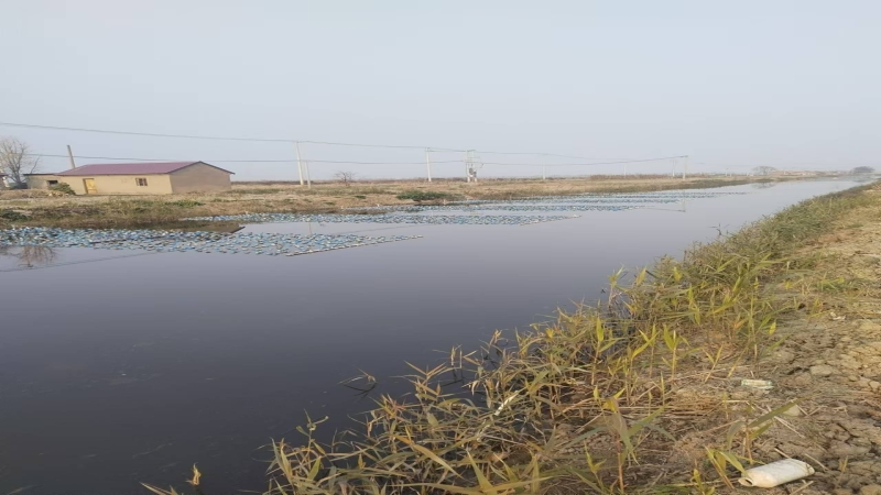 水產(chǎn)養(yǎng)殖尾水治理，助力漁業(yè)綠色生態(tài)高質(zhì)量發(fā)展